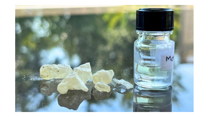 THE SCENT OF ETERNITY THE NICE SMELL OF ANCIENT CANDLE REVEALED -Friendz10