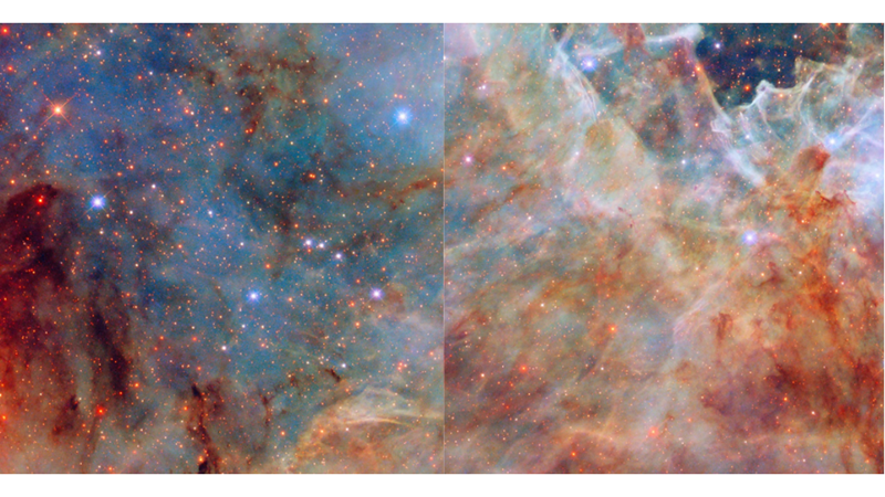 ÖRÜMCEK ALEMİNİN ÖTESİNDEKİ MÜCEVHERLER