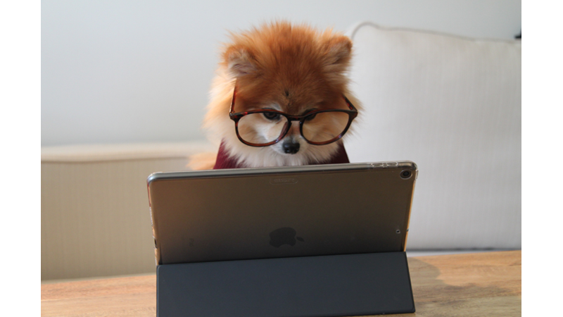 GÖKTEN DERS NOTU YAĞSA GENE ÇALIŞMAYACAK GİBİ HİSSETMEK