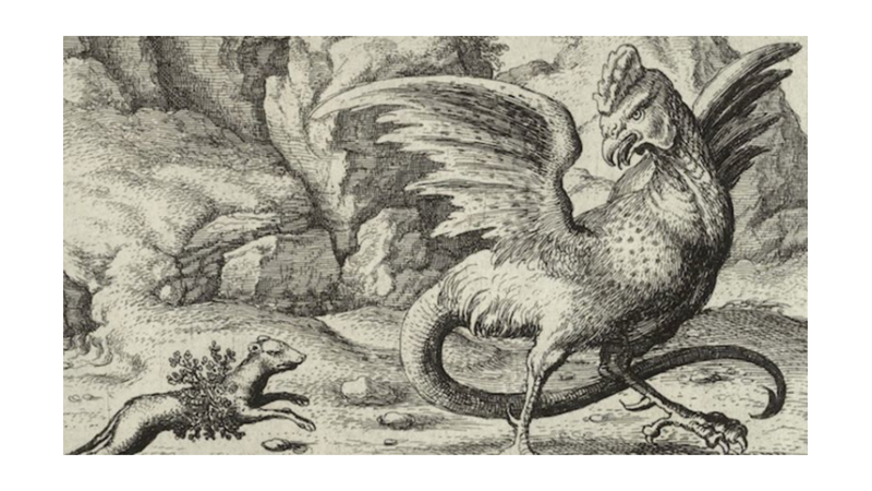 BAKIŞLARLA ÖLDÜREN YILAN: BASİLİSK