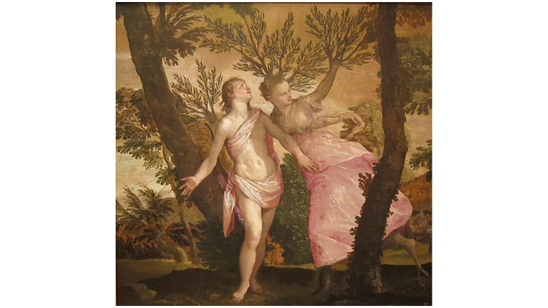 EROS’UN OKUNDAN AĞACA: DAPHNE