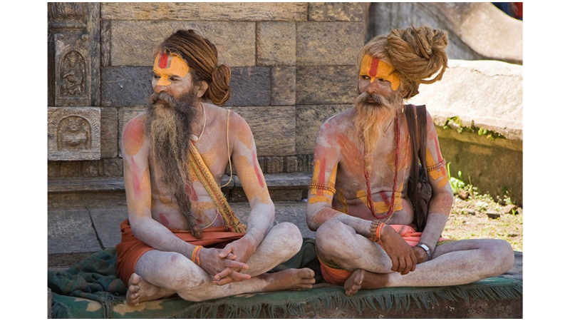 DÜNYA NİMETLERİNDEN SOYUTLANAN: SADHULAR