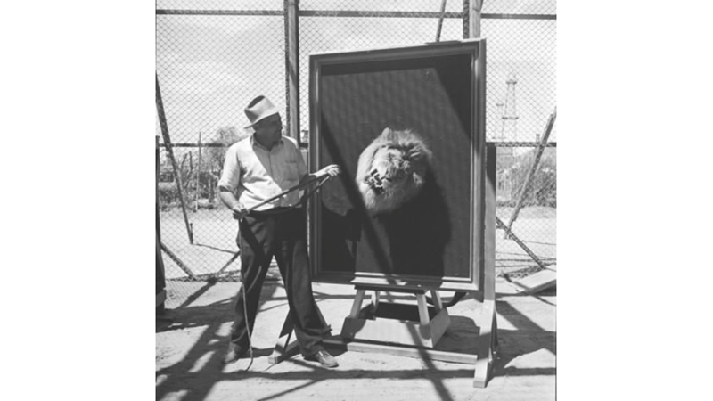 YÜZLERCE FİLMDE OYNAYAN ÜNLÜ ASLAN: LEO