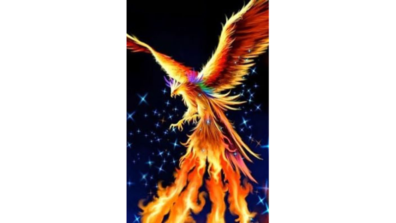 MUSİKİ’NİN DOĞUŞU: KAKNÜS KUŞU