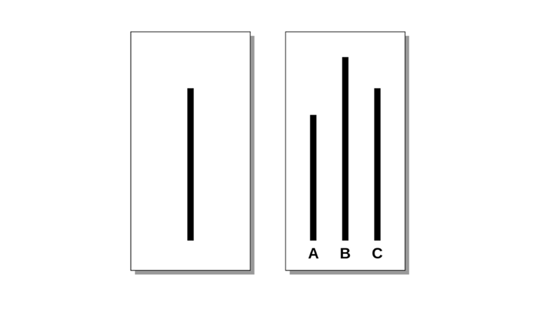 KİM KARAR VERİYOR?: ASCH DENEYİ