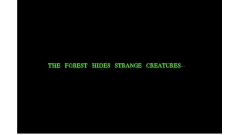 SİMÜLASYONUN BOZULDUĞU ANLAR