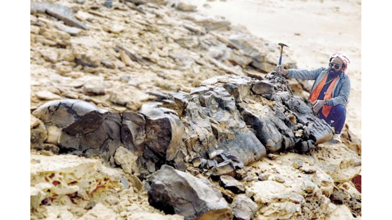 AĞAÇLARDAN ÖNCE DEVASA MANTARLAR VARDI