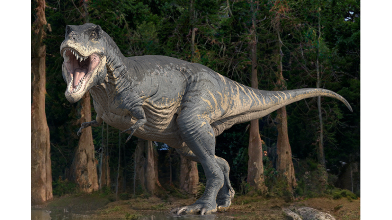 T-REX’LERİN KOLLARI NEDEN KÜÇÜCÜKTÜ?