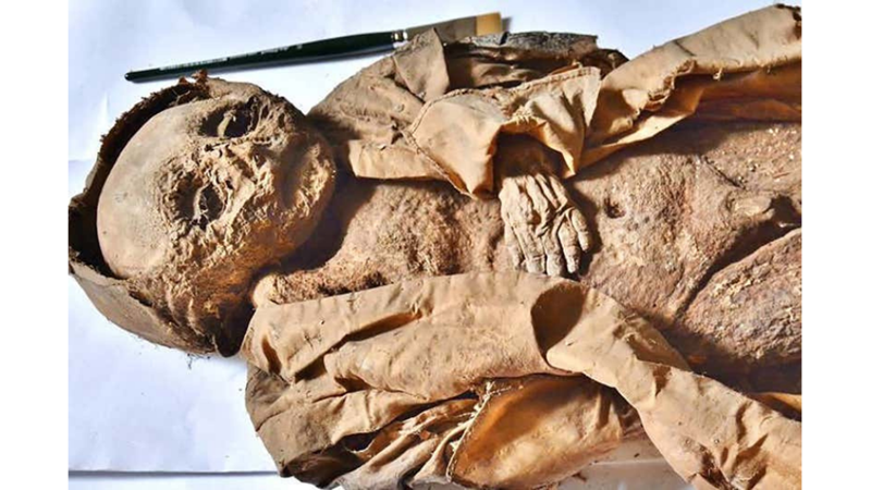 GÜNEŞ EKSİKLİĞİNİN BÖYLE ETKİSİ OLABİLECEĞİNİ BİLEMEZDİNİZ!