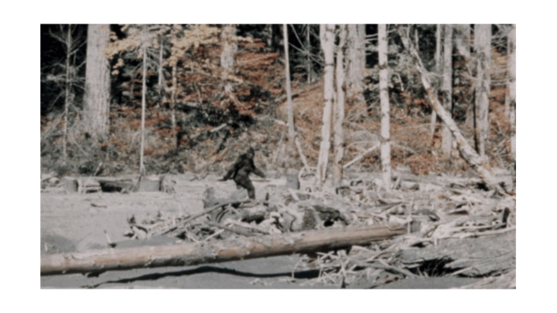 YABAN ADAMI: ABNAUAYU