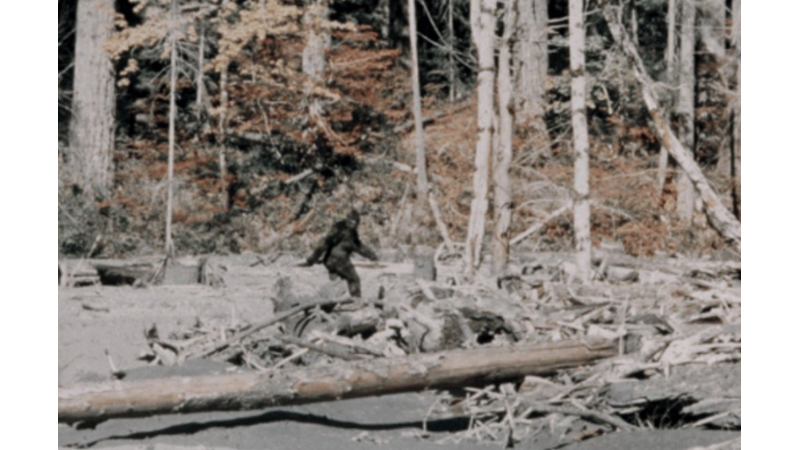 İNSANIMSI DEV PRİMAT: YETİ