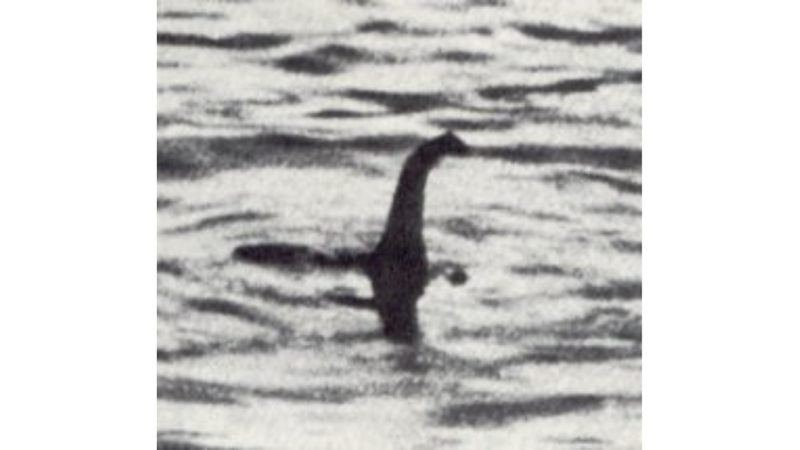 SU CANAVARI: LOCH NESS CANAVARI