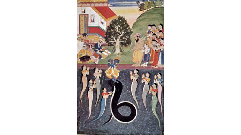 BAŞ BAŞLI YILAN İBLİS: KALİYA NAGA