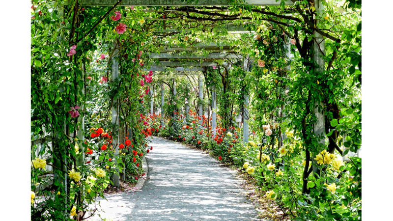 AHLAKİ ÖĞÜT VEREN: GÜLİSTAN