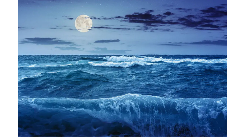 WHAT HAPPENS TO THE WORLD IF A LARGE METROPOLITAN STOPS THE MOON?