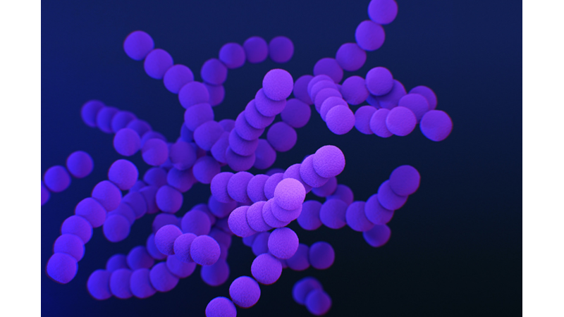 THE NUMBER OF BACTERIA IN YOUR MOUTH IS MUCH MORE THAN PEOPLE IN THE WORLD! -Friendz10