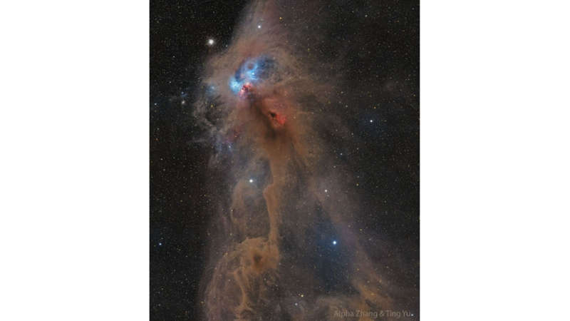 THE ANGRY BABOON NEBULA: NGC 6727