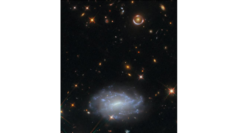 LIKE A REVIVAL OF THE THEORY OF RELATIVITY: EINSTEIN RINGS