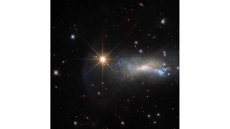 FOREGROUND STAR: LACERTA (LIZARD) CONSTELLATION