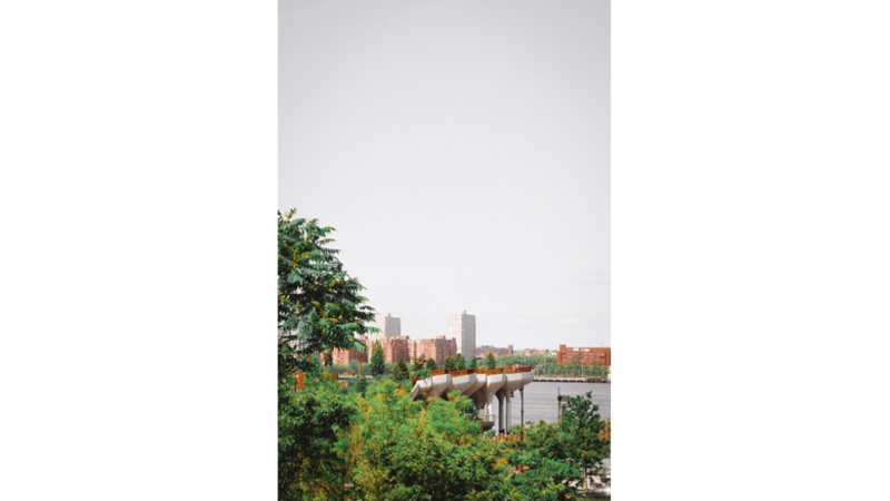 FOTOĞRAF ALBÜMÜ: MAVİ, TURUNCU VE YEŞİL