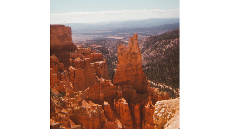 ESKİ ALBÜMLERİ KARIŞTIRIYORUZ: AMERİKA BİRLEŞİK DEVLETLERİ