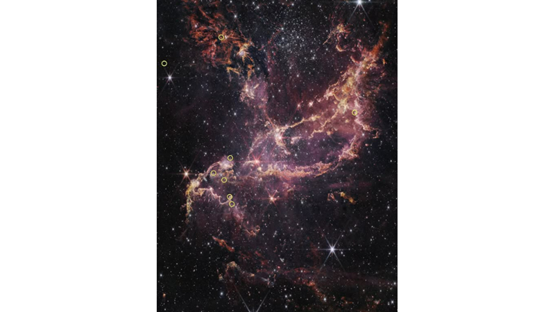 BUGÜN NE PİŞİRSEK GEZEGENLER BIRAKALIM PİŞSİN