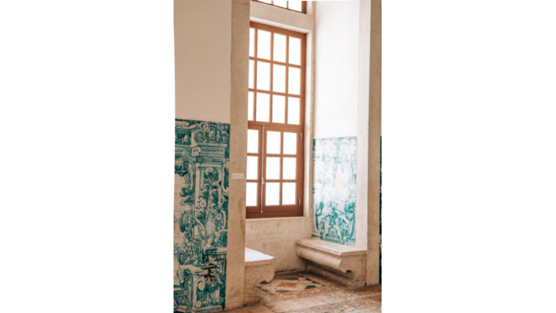 FOTOĞRAF ALBÜMÜ: MAVİ, TURUNCU VE YEŞİL