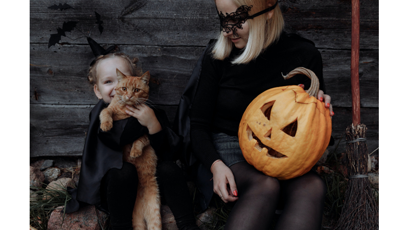 SİZİN KOSTÜMÜNÜZ HANGİSİ?: SEVİMLİ Mİ TEHLİKELİ Mİ?