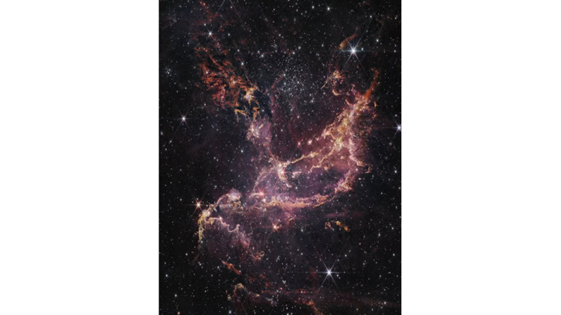 BUGÜN NE PİŞİRSEK GEZEGENLER BIRAKALIM PİŞSİN