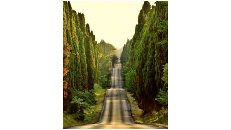 DÜNYANIN EN GÜZEL YOLLARINA ÇIKSIN YOLUMUZ