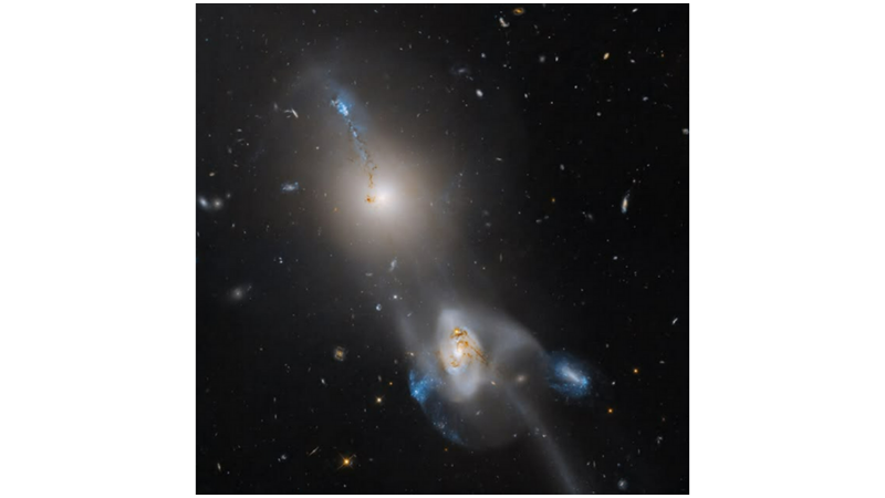 COULD IT BE A COSMIC GUITAR?: ARP 105