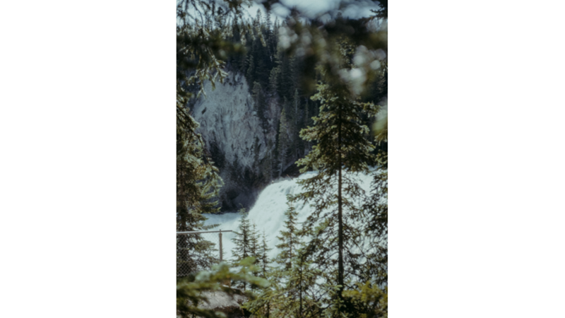 ESKİ ALBÜMLERİ KARIŞTIRIYORUZ: AMERİKA BİRLEŞİK DEVLETLERİ