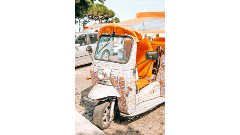 FOTOĞRAF ALBÜMÜ: MAVİ, TURUNCU VE YEŞİL