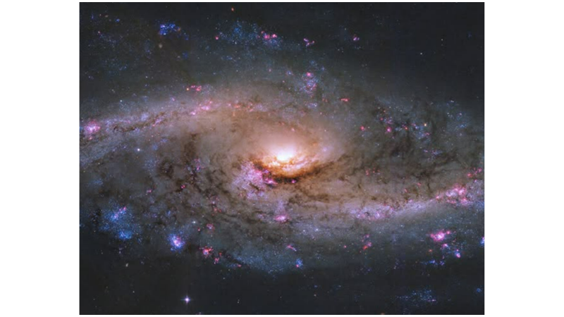 NEW STARS FORMED FROM EXPLOSIONS: NGC 4536