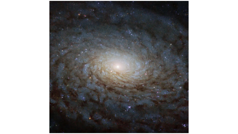 A CLASSIC SPIRAL GALAXY IMAGE: NGC 4380