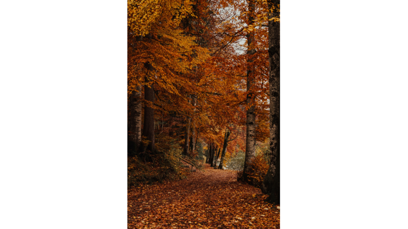 İLHAMLIK POZLAR: SONBAHAR RENKLERİNE KENDİNİ KAPTIRMAK