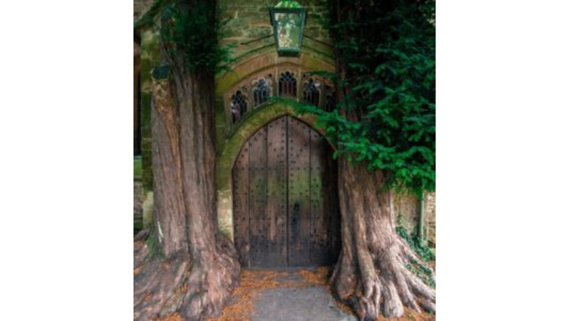 YÜZÜKLERİN EFENDİSİ'NE KONU OLAN KAPI