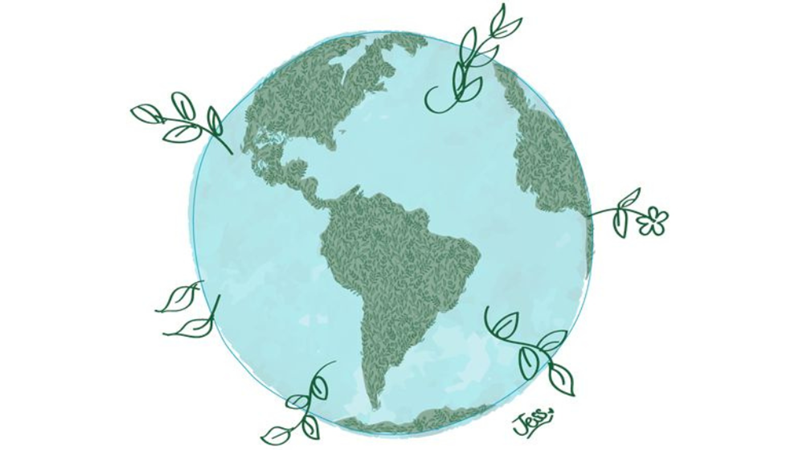 DÜNYANIN RUHU: ANİMA MUNDİ