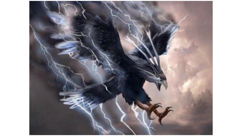 GÖK GÜRÜLTÜSÜ KUŞU: THUNDERBIRD