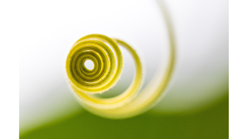 NEDEN HEPİMİZ FARKLI DAİRE ÇİZERİZ?