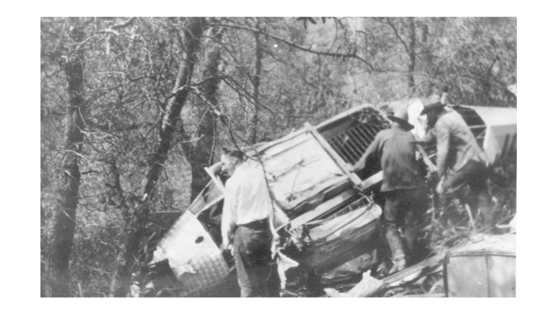 YÜZLERCE FİLMDE OYNAYAN ÜNLÜ ASLAN: LEO