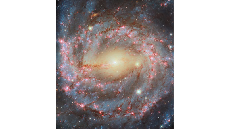 GALACTIC VICTORY: SPIRAL GALAXY NGC 5643