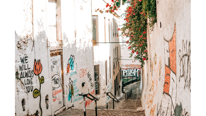 FOTOĞRAF ALBÜMÜ: MAVİ, TURUNCU VE YEŞİL