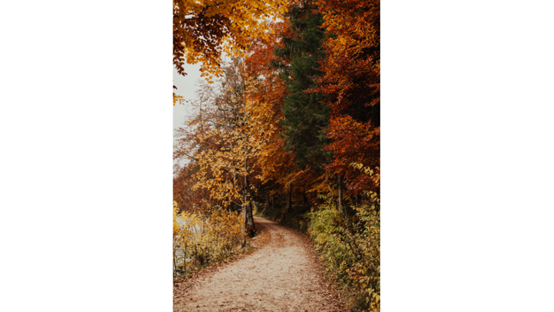İLHAMLIK POZLAR: SONBAHAR RENKLERİNE KENDİNİ KAPTIRMAK