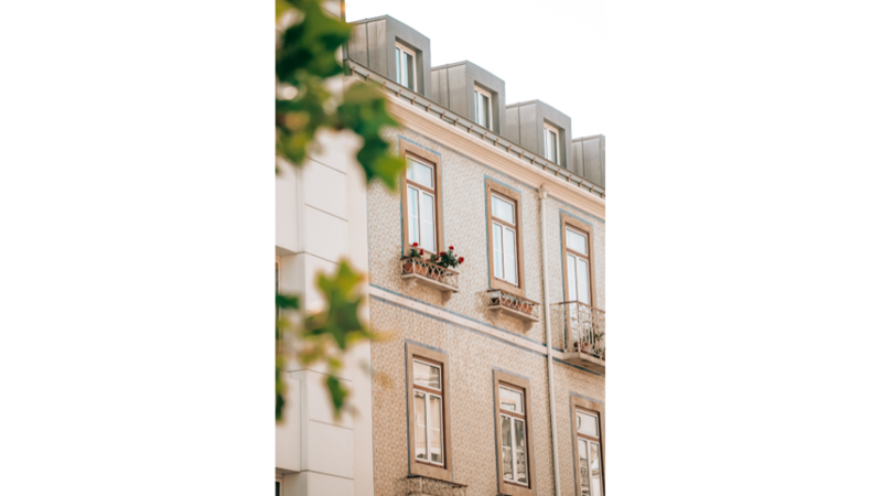 FOTOĞRAF ALBÜMÜ: MAVİ, TURUNCU VE YEŞİL
