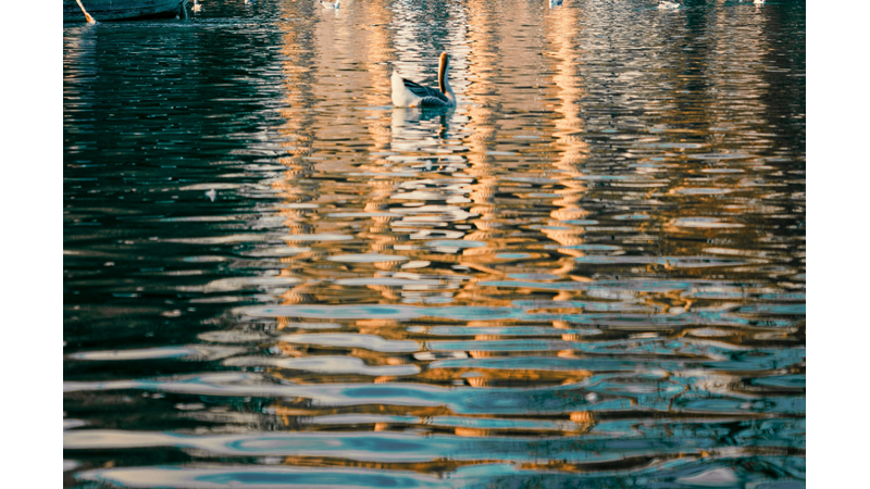 GÜNDEMİ TAKİP ETMEK: TARİHİ ÖĞRENMEK ÖNEMLİDİR ANCAK TARİHE TANIKLIK ETMEK DE ÇOK ÖNEMLİDİR