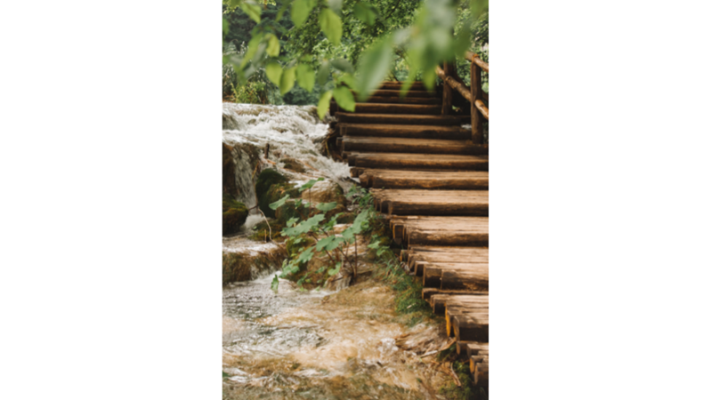 FOTOĞRAF ALBÜMÜ: MAVİ, TURUNCU VE YEŞİL