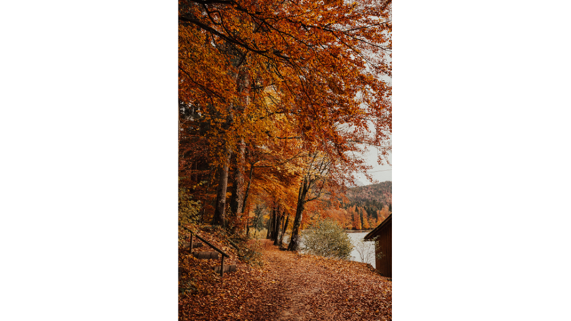 İLHAMLIK POZLAR: SONBAHAR RENKLERİNE KENDİNİ KAPTIRMAK