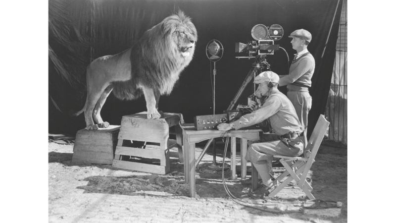 YÜZLERCE FİLMDE OYNAYAN ÜNLÜ ASLAN: LEO