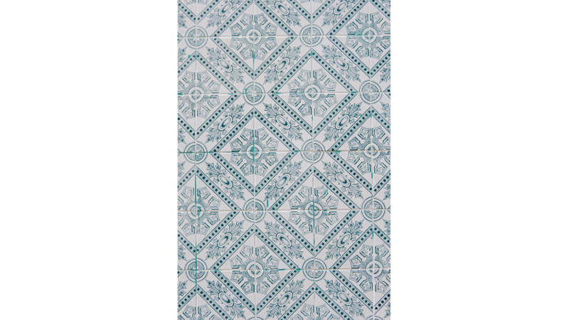 FOTOĞRAF ALBÜMÜ: MAVİ, TURUNCU VE YEŞİL